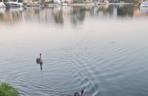 Biggera Waters Apartment | BoatHouse on the Broadwater