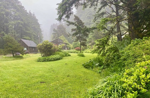 Yachats Cabin | Bob Creek Studio - across from Bob Creek Beach, Forest.