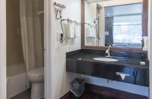 East Boca Raton Hotel | Boca By The Sea Hotel