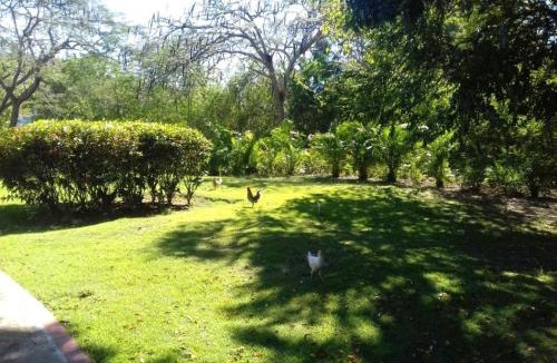 Reparto Ibarra Apartment | Boca Chica Resort 635