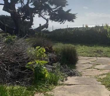 Sereno del Mar House | Bodega Bay Magical Ocean Front w/Amazing View!