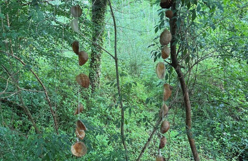 Azereix Cabin | Bohemian coconut hut