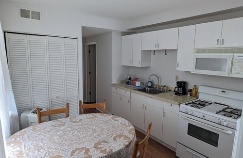 Lower West Side Apartment | Bohemian Garden Oasis! 2-BR unit with AC & WiFi in Prime Chicago.