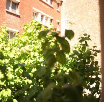 5th Arrondissement Apartment | Bohemian & Historic Paris Pantheon Mosquee