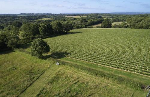 Cranbrook House | Bokes Barn