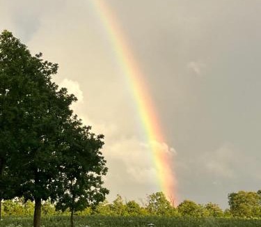 Hejnsvig Apartment | Bolding Apartments