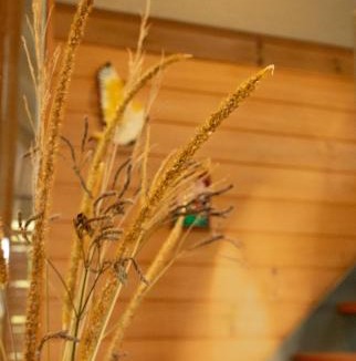 Bombah Point House | Bombah Point Eco Cottages