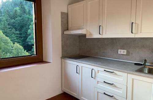 Ribes De Freser Apartment | Bonavista - Els Apartaments del Bosc