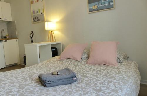 Waldeck-Sully Apartment | Bonnefoy - Studio centre ville