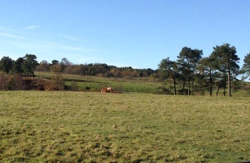 Waskerley Bed & Breakfast | Bonners Lodge