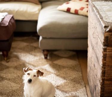 Reading House | Bonni B&B