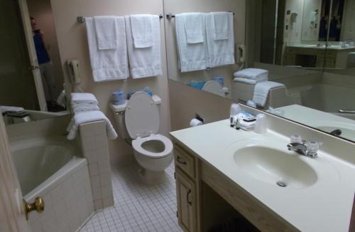 Alexandria Bay Resort | Bonnie Castle Resort & Marina