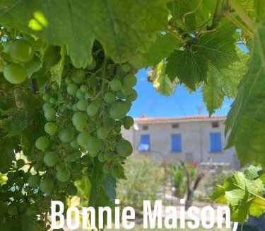 Alaigne House | Bonnie Maison