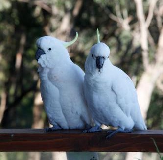 Kalorama Apartment | Bonza View