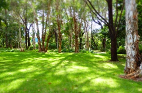 Boomerang Beach House | Boomerang Hideaway - at Tranquil acreage