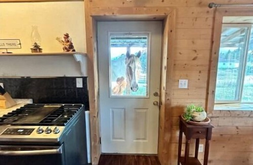 Frenchtown Cabin | Boone's Cabin