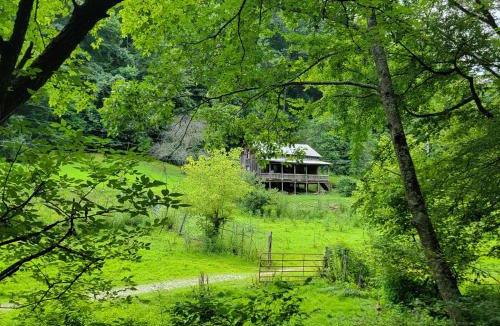 Boons Camp House | Boons Camp Cabin