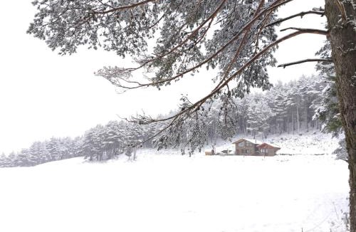 Engolasters House | Borda Cucut-HUT4-08181