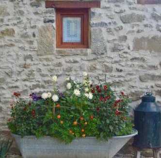 Sabinanigo House | Borda de Fadrín