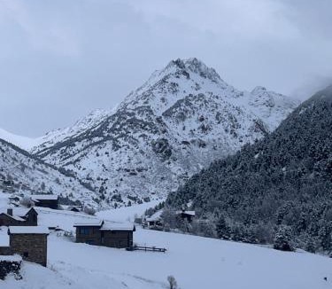 Soldeu House | Borda Martí 2, Chalet de montaña en la Vall d'Incles HUT1-08521