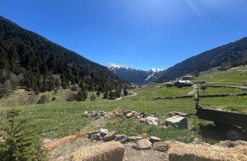 Soldeu Ski Chalet | Borda Martí, Chalet de montaña en la Vall d'Incles HUT1-08422