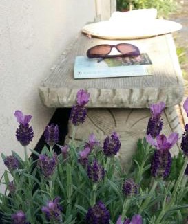 Buckfastleigh House | Bossell Cottage Devon