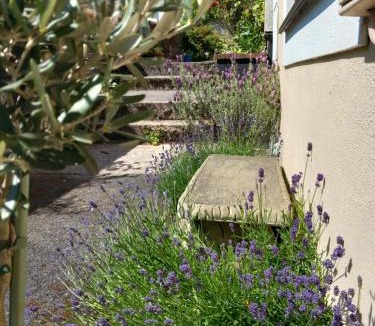 Buckfastleigh House | Bossell Cottage Devon