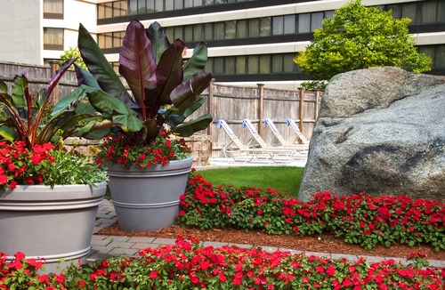 South Peabody Hotel | Boston Marriott Peabody