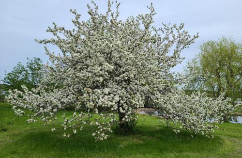 Saint-Joseph-de-Kent Hotel | Bouctouche Bay Inn