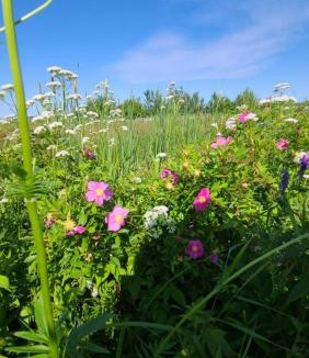 Saint-Joseph-de-Kent Hotel | Bouctouche Bay Inn