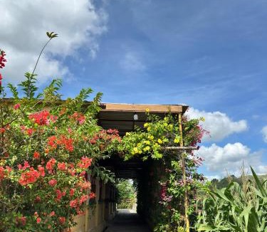 Kecamatan Lembar House | Bougenville Homestay