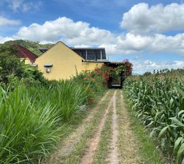 Kecamatan Lembar House | Bougenville Homestay