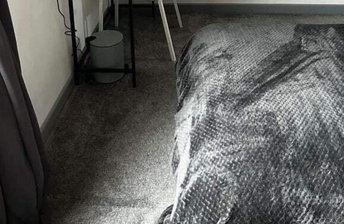 Tipton House | Boulder - 3 Bedroom house