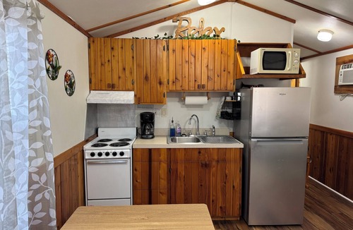 Texanna Cabin | Boulder Ridge Cabin 2: The Cottage - Newly Renovated Tiny Cabin