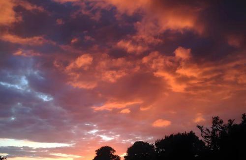 Sanxay Bed & Breakfast | Bourdeverre Chambres D'hôtes