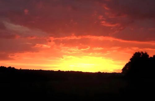 Sanxay Bed & Breakfast | Bourdeverre Chambres D'hôtes