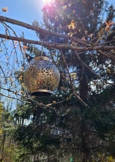 Mesocco Bed & Breakfast | Boutique B&B La Quiete del Bosco - A Plant-Based Stay
