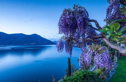 Porto Ronco Hotel | Boutique Hotel La Rocca