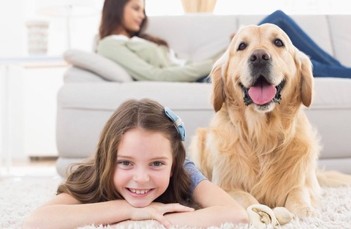 Mount Waverley House | BOUTIQUE STAYS - That 70s House