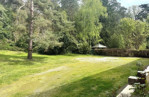 Bagnoles-de-l'Orne Apartment | Bright, quiet T1 with private parking