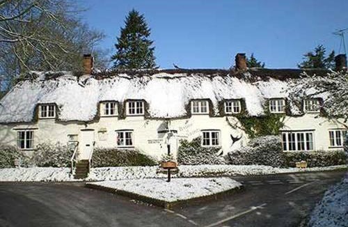 Plush Hotel | Brace of Pheasants