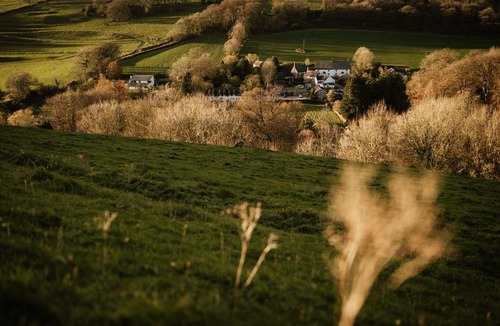 Plush Hotel | Brace of Pheasants