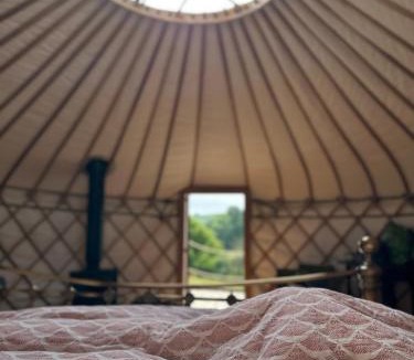 Bridport Other | Bracken Yurt at Walnut Farm Glamping