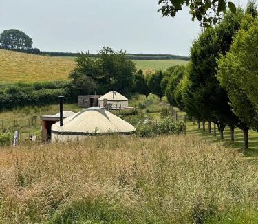 Bridport Other | Bracken Yurt at Walnut Farm Glamping