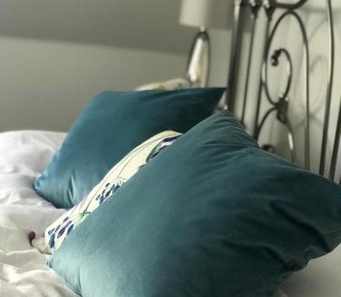 Brampton Apartment | Brampton Luxury Annexe Apartment