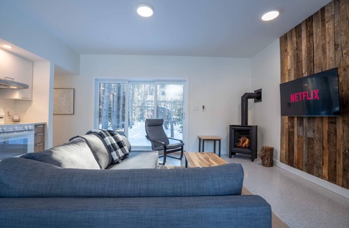 Saint-Alexis-des-Monts Ski Chalet | Brand New with SPA | Le Repaire du Lievre Blanc