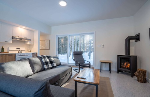 Saint-Alexis-des-Monts Ski Chalet | Brand New with SPA | Le Repaire du Lievre Blanc
