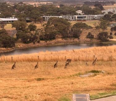 Warrnambool House | Brand New Beach Escape
