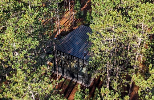 McMurrich/Monteith Cabin | Brand New Black Fox Cabin