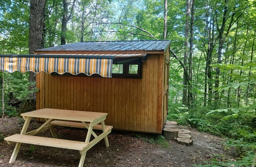 Strong Cabin | Brand New Dream Den Bunkie for Two with Canoe, River Access, and Scenic Trailsn
